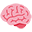 Brain